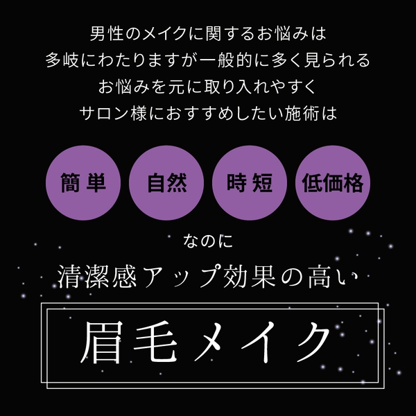 アイビル ブロウマイスター【1＆2セット／1単品】
