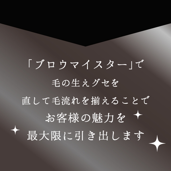 アイビル ブロウマイスター【1＆2セット／1単品】
