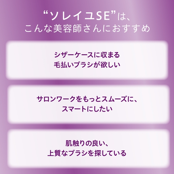 アイビル フェイスブラシ ソレイユ SE〈毛払いブラシ〉