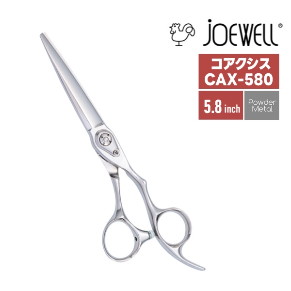 （お取り寄せ商品）ジョーウェル コアクシス［CAX-580］