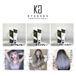 KYOGOKU IROME　ヘアカラー 01