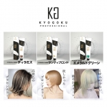 KYOGOKU IROME　ヘアカラー 04