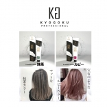 KYOGOKU IROME　ヘアカラー 05