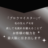 アイビル ブロウマイスター【1＆2セット／1単品】