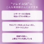 アイビル フェイスブラシ ソレイユ SE〈毛払いブラシ〉