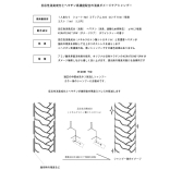 KERAFFECT ケラフェクト  アフター クリアシャンプー　1000ｍL