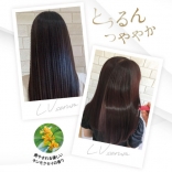 レブセラム［30ｇ／200ｇ／500ｇ／1000ｇ］