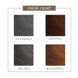 ラピート クリーム ヘアカラー プロ用 ノンジアミンタイプ カラーチャート
