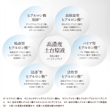 サロンドヒアロ モイスチャーミスト