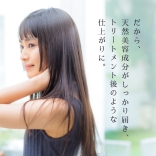 strainia ストレーニア  シルクケアブラシ