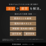 MYTREX マイトレックス REBIVE SEAT リバイブシート〈シート型のマッサージガン〉