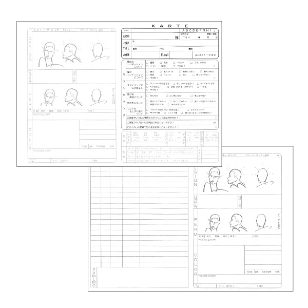 オリジナル カルテ ［A4サイズ］100枚