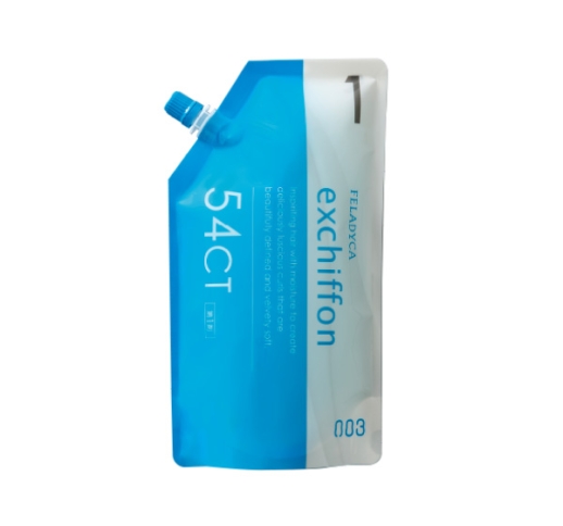 フィレディカ エクシフォン 54CT 第1剤　400ml