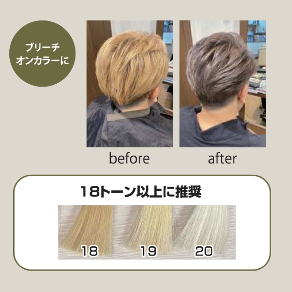 リックス カラーメントキュアデペロッパーAC 0.8