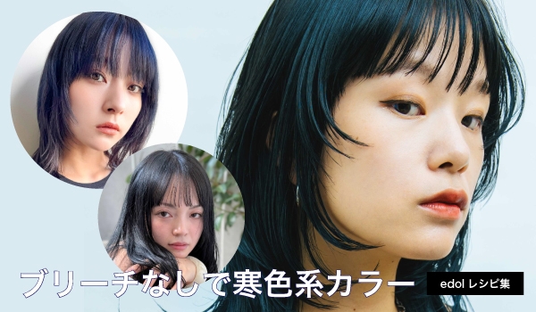 https://taisei88.net/ブリーチなし！キレイに見える寒色系カラー｜edolデザインカラーレシピ集